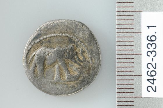 Abb. 5: Cham-Äbnetwald, archäologische Rettungsgrabung.