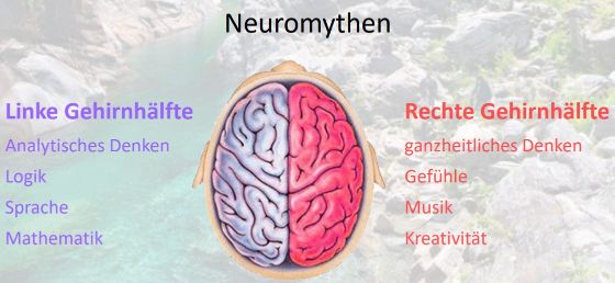 Abbildung 1: Neuromythen, Abbildung aus der Präsentation von Karin Kulcan