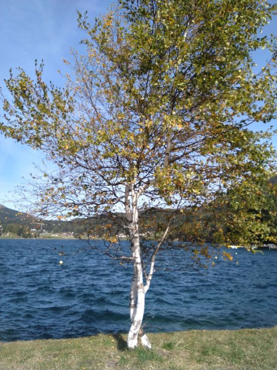 Frischer Wind. Bild: Christine Hofer.