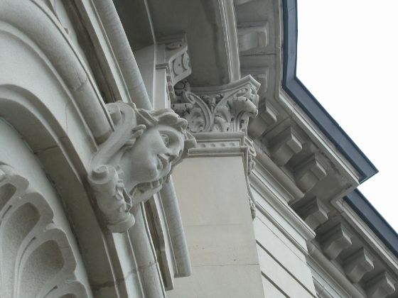 Ansicht der Puten von unten
