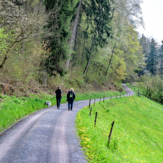 Symbolbild-Wanderweg-AB.jpg
