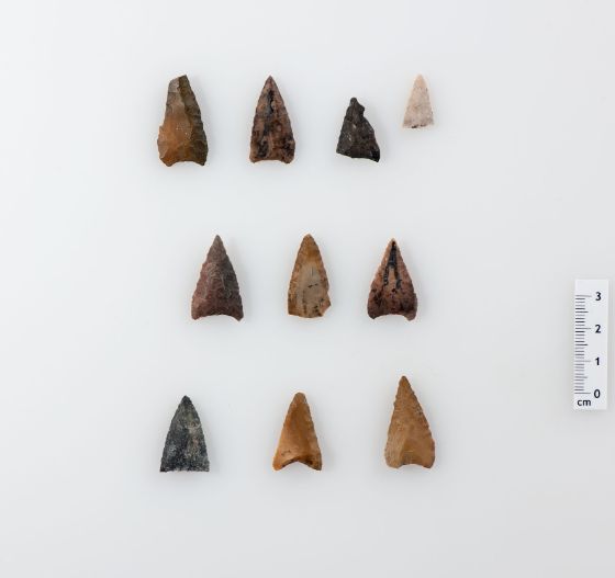 10 Pfeilspitzen von hellbraun bis rötlich und blau gefärbt