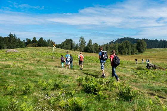 Wanderung beim Ewegstaffel. Bild: Andreas Busslinger
