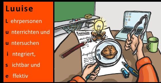 Interne Evaluation - Abb. 1: Luuise