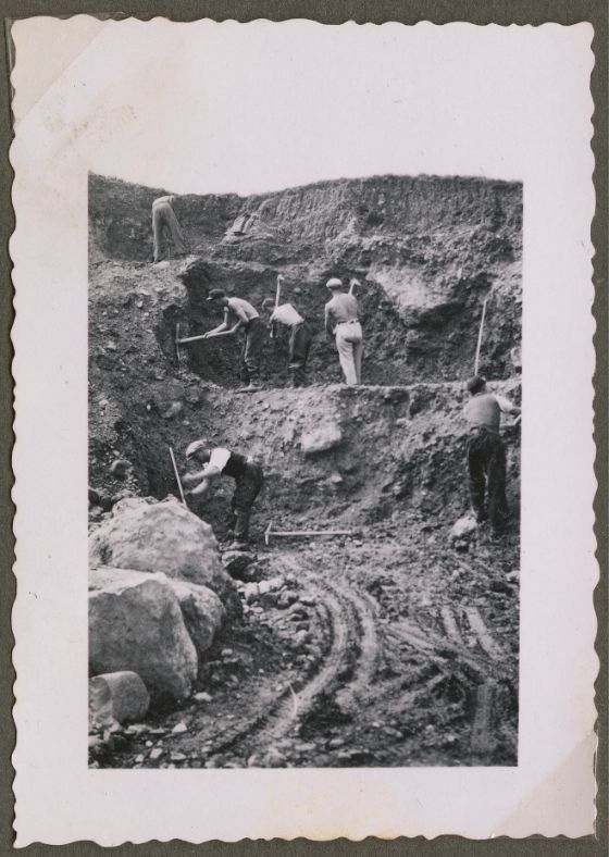 Bild 4: Freiwilliges Arbeitslager Horbach auf dem Zugerberg der Gemeinnützigen Gesellschaft Zug. Foto: Gemeinnützige Gesellschaft Zug, Mitte