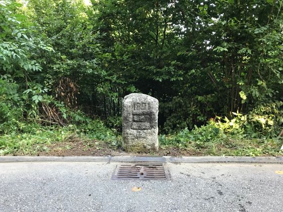 Foto 2 Grenzsteinsetzung an Kantonsgrenze ZG ZH