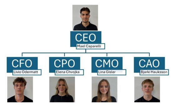 Organigramm TeeLux