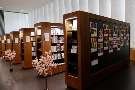 Mediathek-Bücherregale