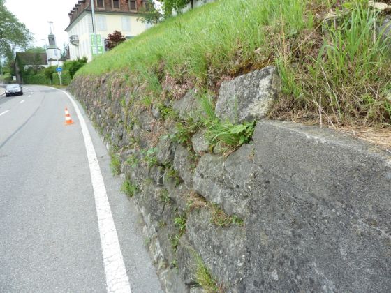 Bild Historische Stützmauer