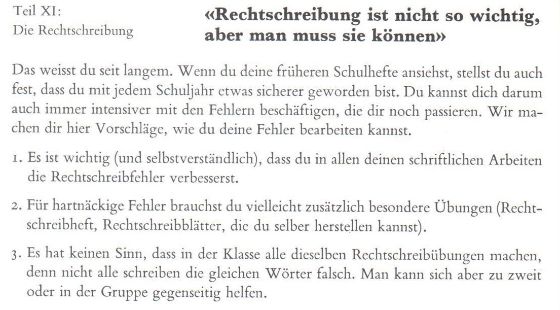Abbildung 1 - Rechtschreibung ist nicht so wichtig aber man muss sie können