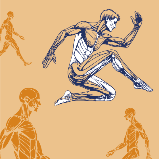 KSR_Illustration_Themenbereiche_Sport-und-Gesundheit_quadratisch_orange