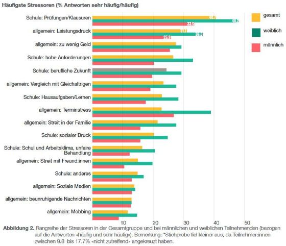 Grafik Häufigste Stressoren