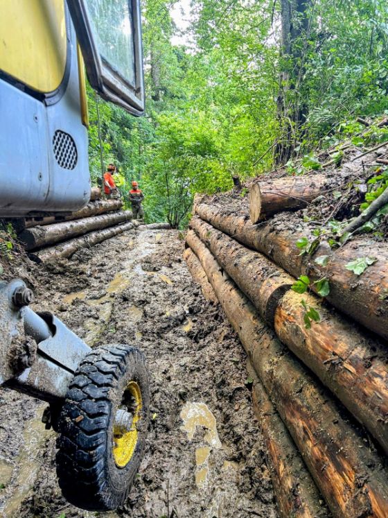 Bachverbauung mittels Schreitbagger geführt durch Spezialisten