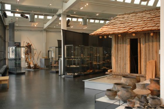 Blick in die Ausstellung