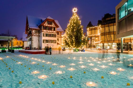 Andreas Busslinger Christbaum Baar