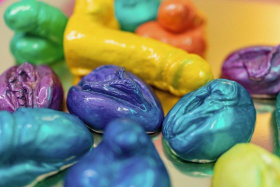 Sexualität in der Schule - Geschlechtsteile