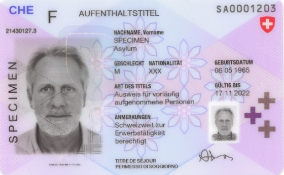 Aufenthaltstitel, Ausweis F