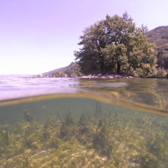 Ansicht vom Zugersee mit der Insel