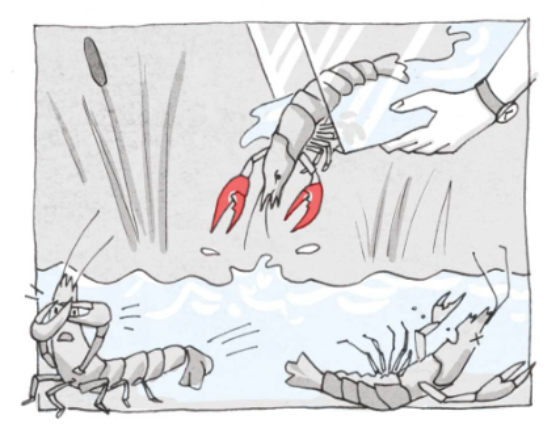 Aquarien4