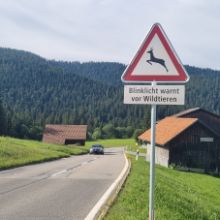 Unfälle mit Wildtieren reduzieren