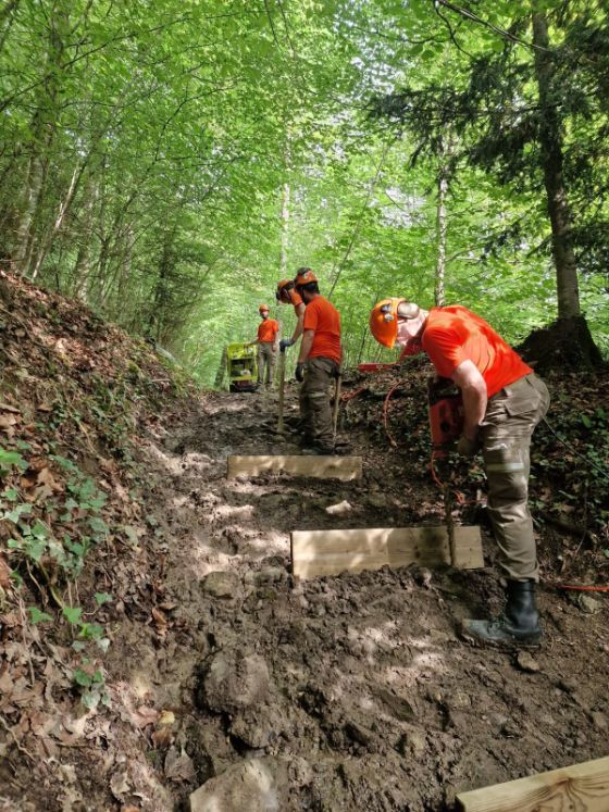 Zivilschützer sanieren einen Wanderweg in Baar