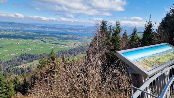 Aussichtsplattform Bellevue, Gottschalkenberg, Menzingen (Foto: Amt für Wald und Wild)