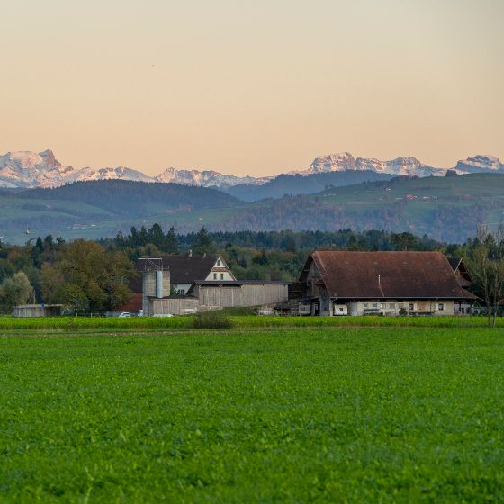 Stallgebaeude