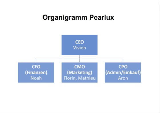 Organigramm Pealux