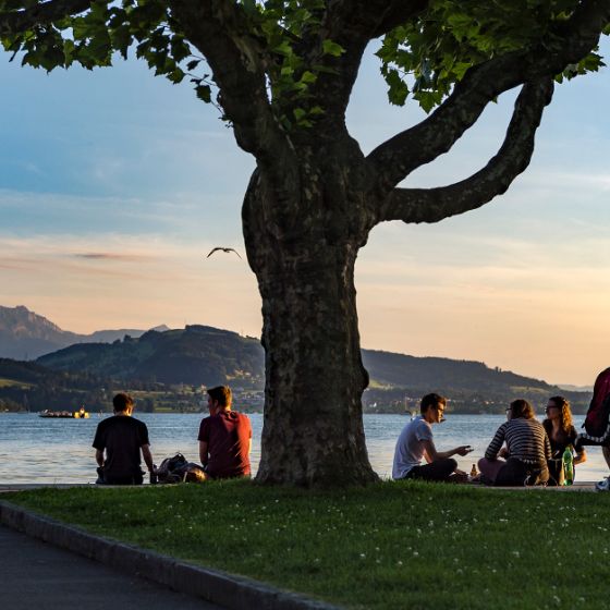 Personen sitzen am Ufer des Zugersees bei Sonnenuntergang