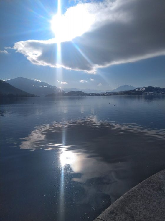 Licht und Schatten. Bild: Christine Hofer.