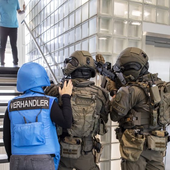 Planning, Organization and Special Units
