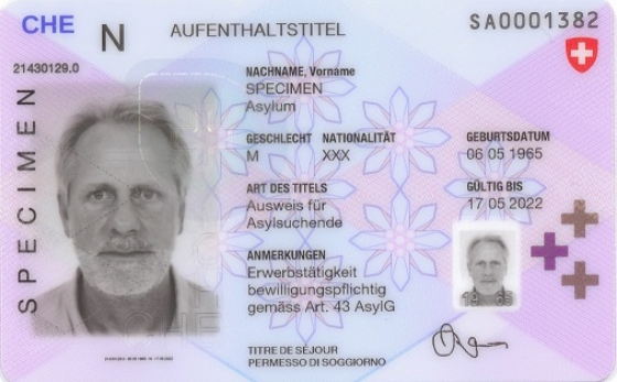 Aufenthaltstitel, Ausweis N