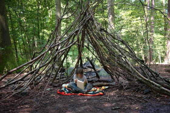 Im Wald lesen