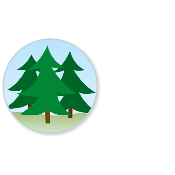 Wald