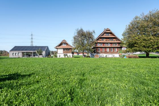 Gesamtansicht der Hofgruppe von Süden mit Baum in der Mitte und rechts