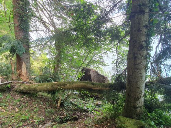 Foto 2: Abgelagerter grösster Felsblock im Uferbereich