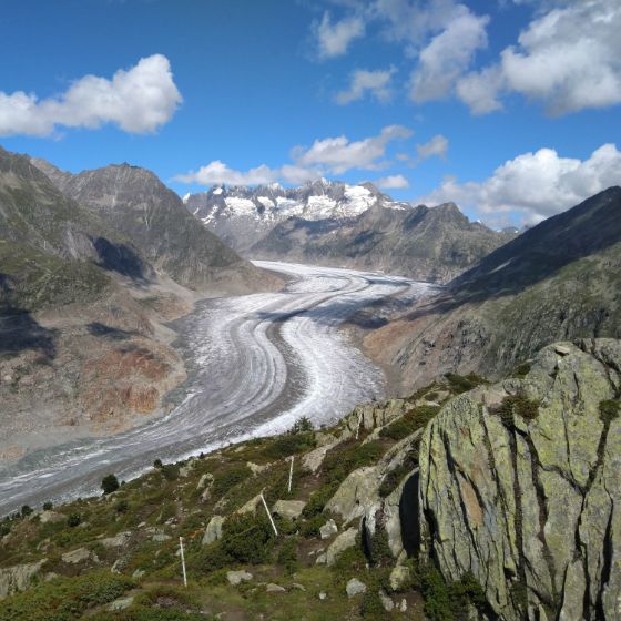 Aletschgletscher