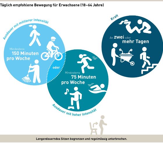 Bewegungsempfehlungen für Erwachsene