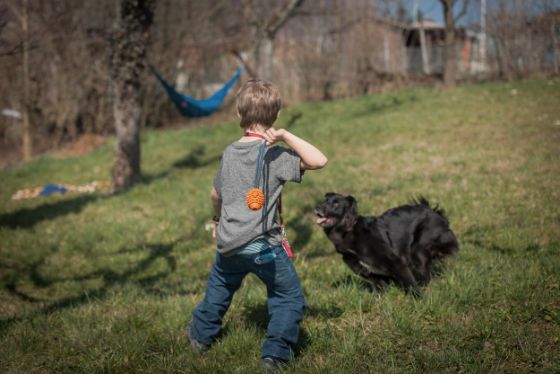 Junge spielt mit einem Hund im Garten.