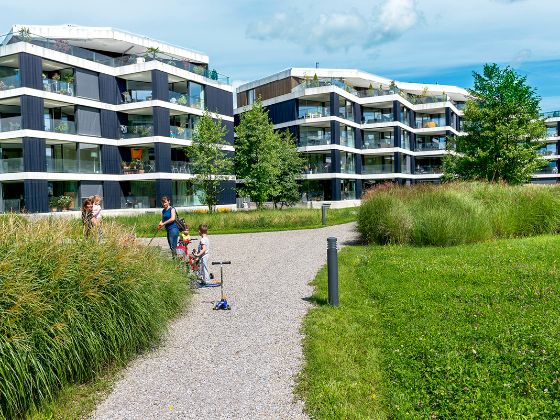 Wohnhäuser Riedmatt in Zug