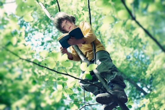 Auf dem Baum lesen