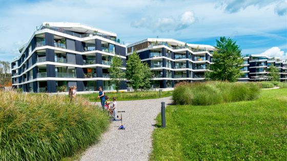 Riedmatt in Zug