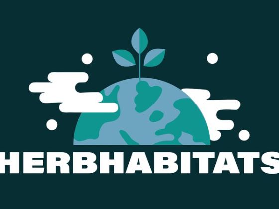 Firmenlogo HerbHabitats