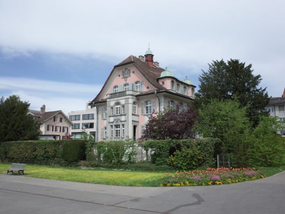 Hecke und Fassade der Villa Hotz