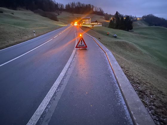 Auto landet im Wiesland