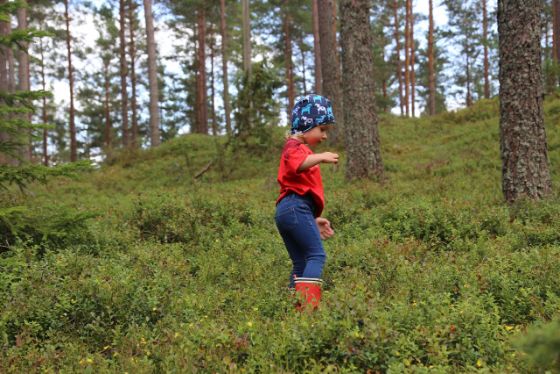 Kind im Wald