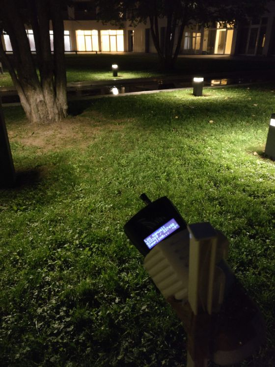 Aufgrund der Ruffrequenz, die mit einem speziellen Aufnahmegerät gespeichert wird, kann im Nachhinein die Art der Fledermaus bestimmt werden.