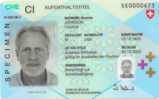 Aufenthaltstitel, Ausweis Ci