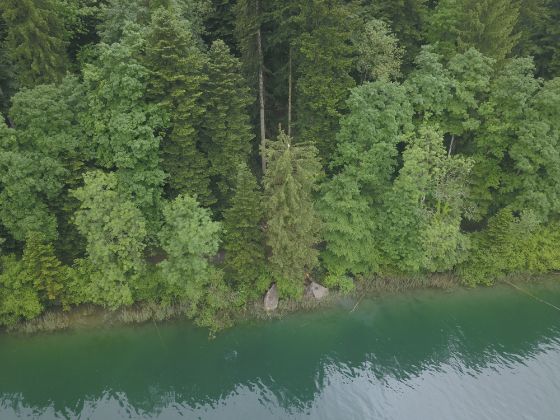 Foto 3: Drohnenaufnahme der abgelagerten grossen Felsblöcke im Uferbereich