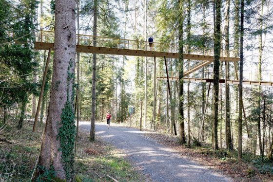 Erholung im Wald, Freizeit und Sport im Wald – auf dem Schlaufensteg in Baar kann die Natur aus einer neuen Perspektive erlebt werden. Quelle: © 2ECK Architekten GmbH